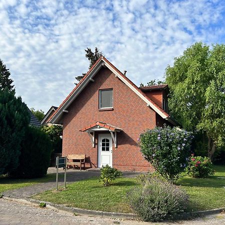 Ferien_Haus Seeoase 高恩莱宾 外观 照片